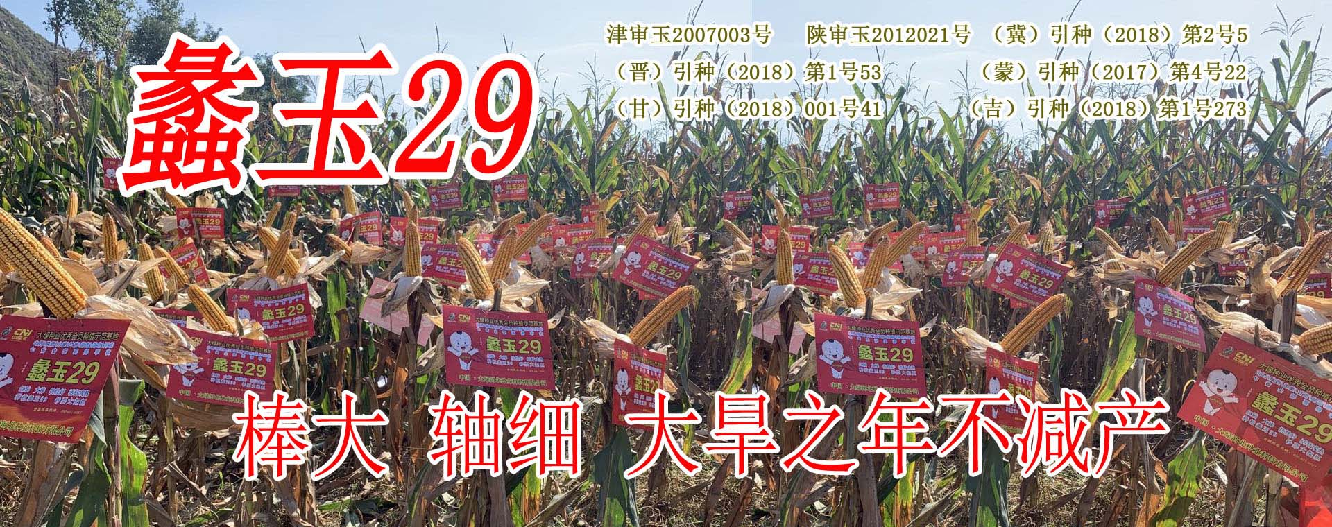 大綠河北種業(yè)科技有限公司