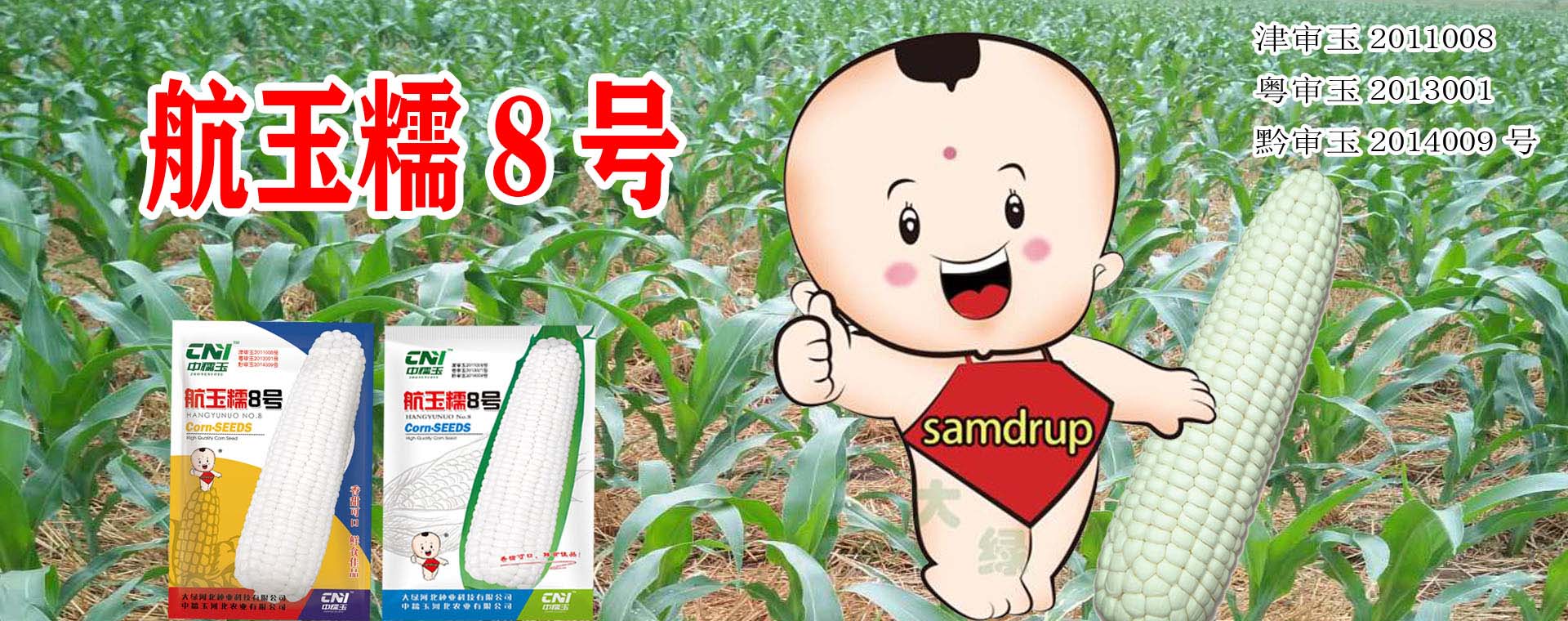 大綠河北種業(yè)科技有限公司